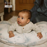 3 - in - 1 Pillow - Wee Bambino