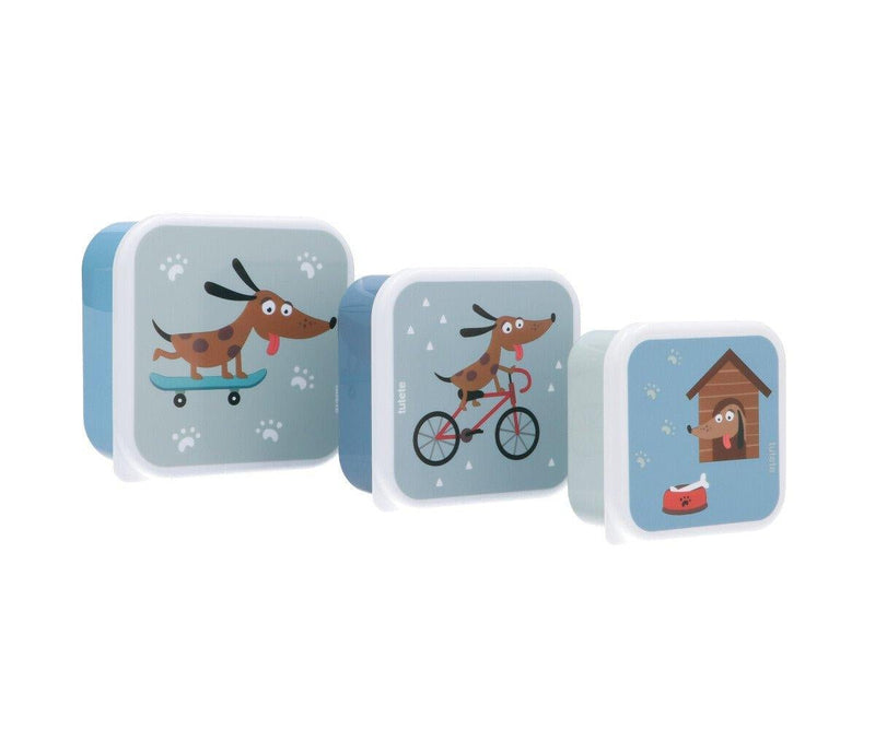 3 Skater Dog Lunch Boxes - Wee Bambino