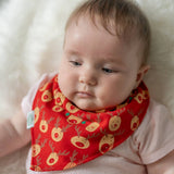 Christmas Reds Bib Set