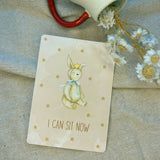 Baby Milestone Cards - Wee Bambino