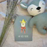 Baby Milestone Cards - Wee Bambino