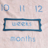 Bunnies Milestone Blanket - Wee Bambino