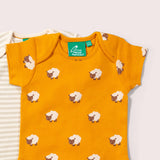 Counting Sheep Organic Baby Bodysuit Set - 2 Pack - Wee Bambino