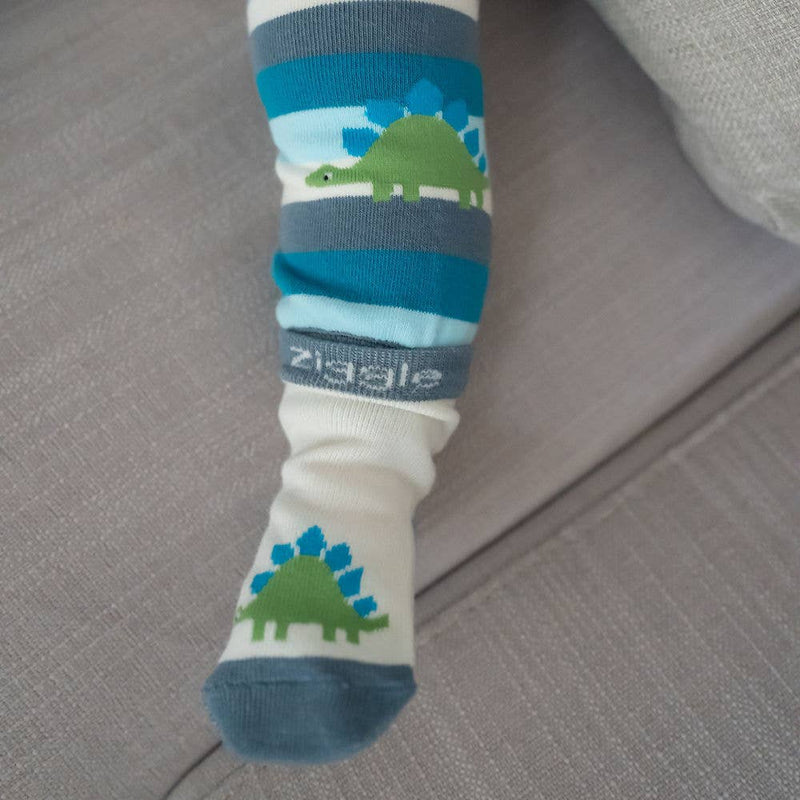 Dinosaur Boxed Sock Set - Wee Bambino