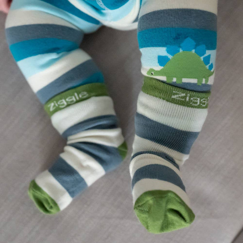 Dinosaur Boxed Sock Set - Wee Bambino