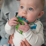 Dinosaur Teether Silicone - Wee Bambino