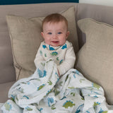 Dinosaurs Swaddle - Wee Bambino