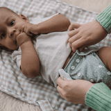 Dottie Sage - One Size All - In - One Reusable Cloth Nappy - Wee Bambino