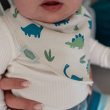 Dino and Stars Bib Set
