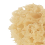 Jane Natural Sponges (2 Pack) - Wee Bambino