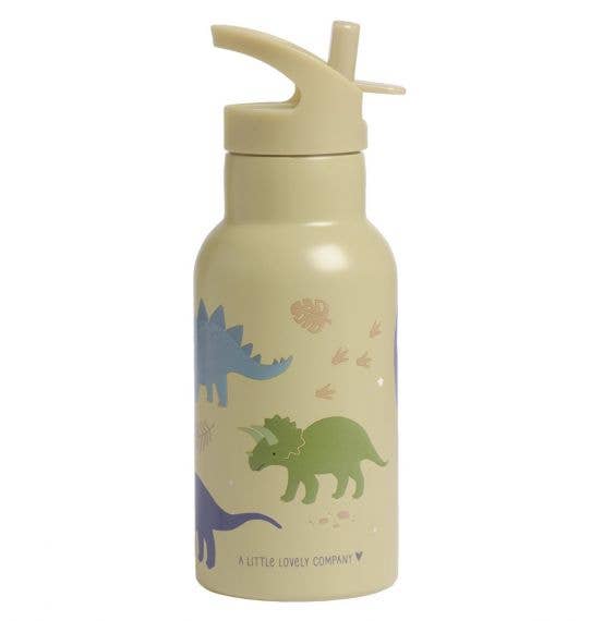 Kids stainless steel drink/water bottle: Dinosaurs - Wee Bambino