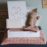 New Baby First Visit Giftbox (Deluxe Edition) - Pink - Wee Bambino