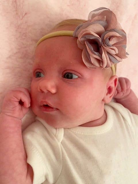 Pink Roses Hairbow Set - Wee Bambino