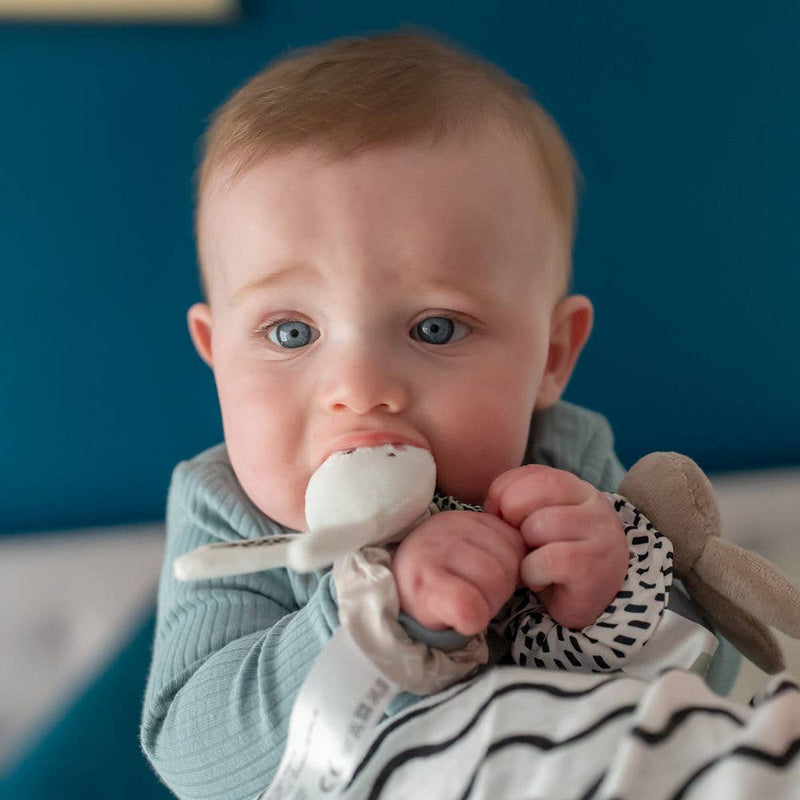 Plush Wrist Rattles - Wee Bambino