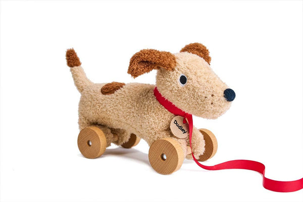 ThreadBear Dudley Pull Along Dog - Wee Bambino