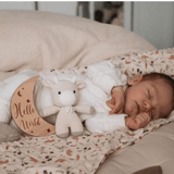 Wooden Month - by - Month Baby Milestone Set - Wee Bambino