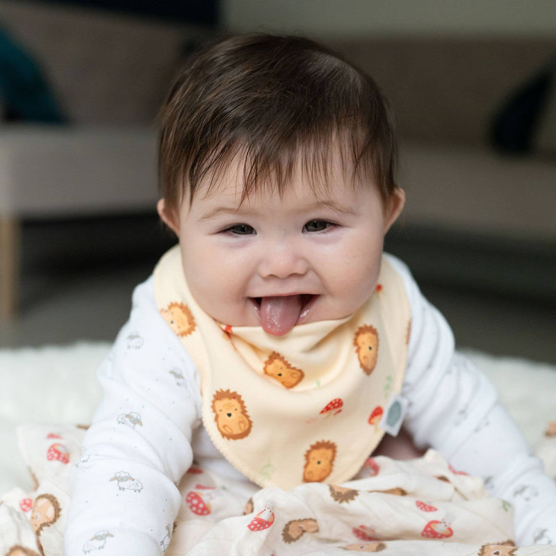 Woodland bib set - Wee Bambino