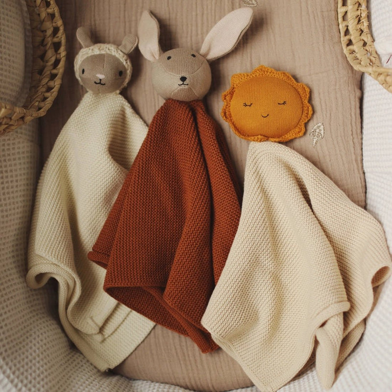 Cuddle Cloth - Farm Friends, Bunny - Wee Bambino